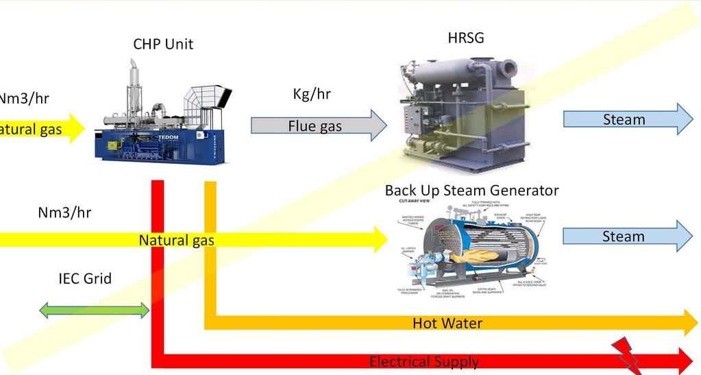Nm3/hr Back Up Steam Generator Natural gas