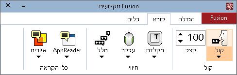 הכלים בלשונית קורא של Fusion לשוניות קורא בתוכנת Fusion ובתוכנת ZoomText עם דיבור לטיני זהות.