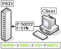 שלב רביעי- שליחת SYN לפורט 55022: שלב חמישי- ה- PKD מאפשר את פתיחת