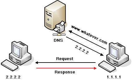 שלב שני - שרת ה- DNS בודק ברשימה שלו לאיזה כתובת נומרית )IP( שייכת הכתובת שהוא קיבל, ומחזיר את התוצאה )2.2.2.2( לשואל )4.