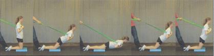 Posterior Kinetic Chain מתוך Hewett TE 2010 Putting It All Together: שינוי Leg dominance