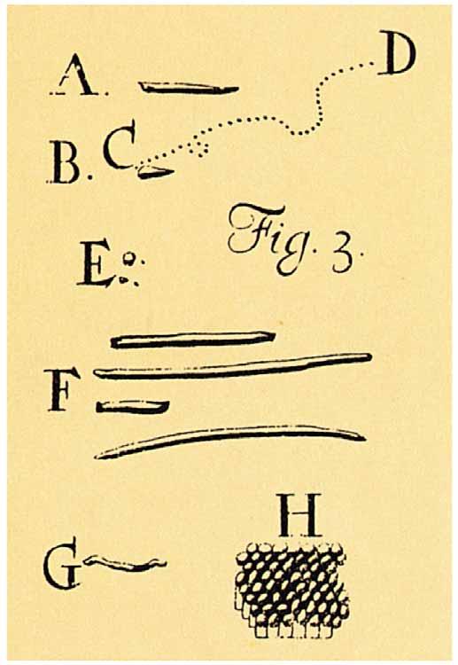 Leeuwenhoek s drawings of bacteria, published in 1684