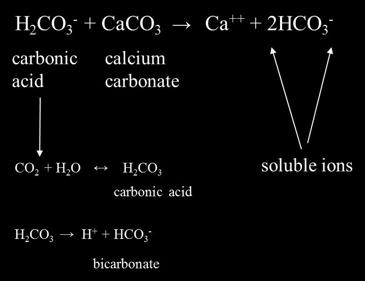 Carbonation קארסט התהליך 1. מסלע מסיס גיר, גבס מלח 2.