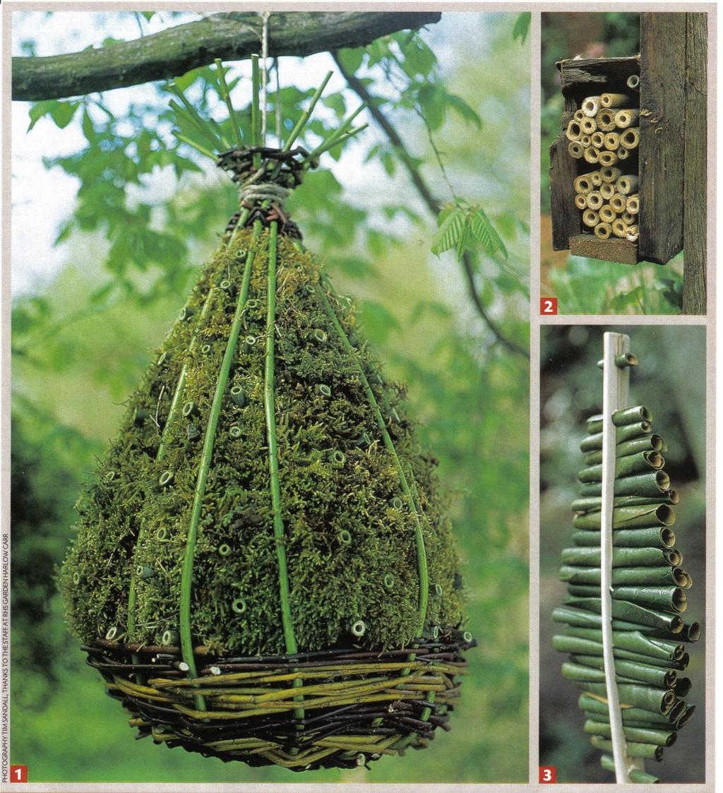 . תצוגת בתים חי בר דבורים,חיפושיות, ע"מ להדגים אפשרויות 1.