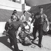 הקדמה 11 בספטמבר.2001 13 באפריל 1995 (הפיצוץ באוקלהומה סיטי). כלנו יודעים מה התרחש בתאריכים שלעיל.