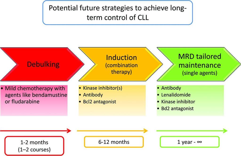 Future treatment concept with novel agents.