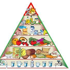 פירמידת המזון מציגה הרגלי תזונה בריאה ומסבירה באופן פשוט ותמציתי מה עלינו לאכול בהתייחסות לסוגי המזון השונים.