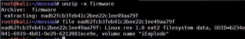 ונבדוק מה סוג הקובץ בתוכו בעזרת :file יש לנו עכשיו קובץ של מערכת קבצים של לינוקס מסוג,ext2 אז נשתמש ב- mount כדי למפות אותו