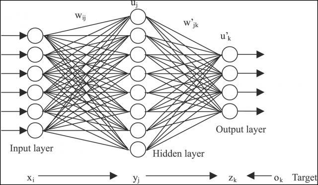 3.2 פעולת רשת הנוירונים איור 21: מבנה רשת נוירונים באיור 21 )לקוח מ( 2015 ((Templeton, המשרטט מבנה כללי של כל רשת נוירונים, ניתן לראות שכבת הקלט layer( )Input שכבת הפלט layer) (Output )layer ואת