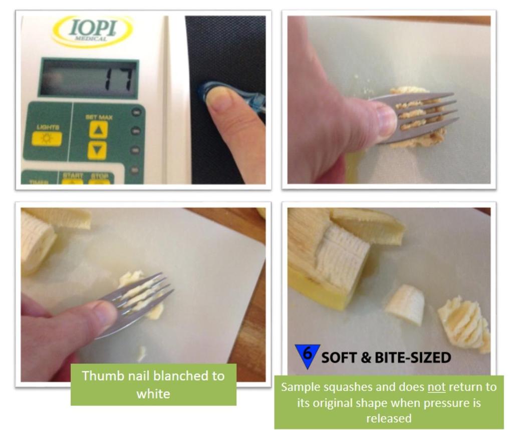Fork Pressure Test and Spoon Pressure Test A fork can be applied to the food sample to observe its behaviour when pressure is applied.