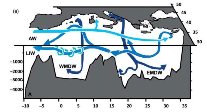 נספח 03 השפעת שינוי אקלים בים התיכון נספח 03 השפעת שינוי אקלים בים התיכון השפעות שינוי אקלים בים התיכון ד ר איה לזר ayahlazar@ocean.org.
