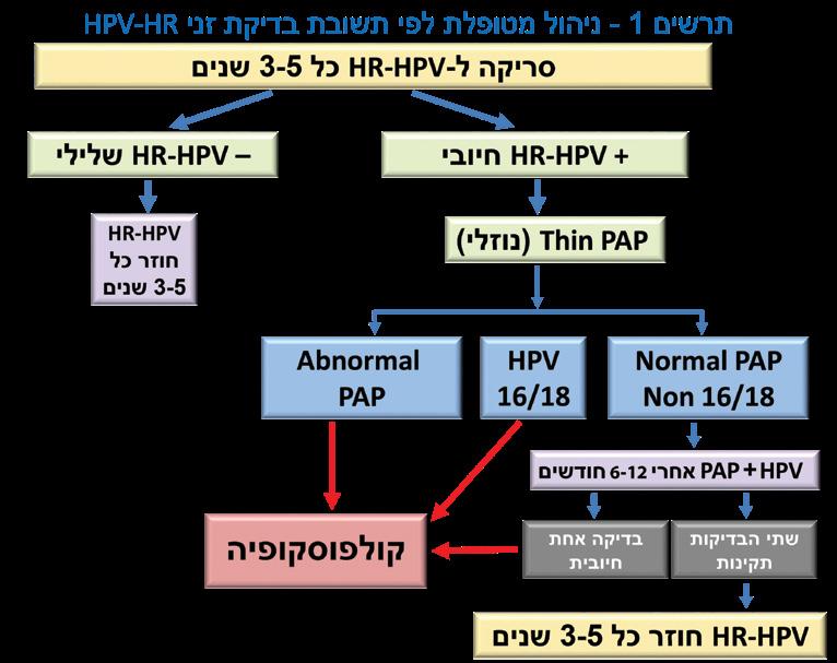 ניהול על פי התשובה של הבדיקה הציטולוגית או בדיקת HR-HPV סריקה לזיהוי זני HR-HPV )ראה תרשים מספר 1( 1. במידה ו- HR-HPV שלילי, מומלץ לבצע סריקה רוטינית כעבור 3-5 שנים.