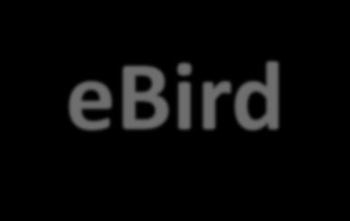 דיווח במחשב באתר איבירד-ישראל ebird- israel כתבו 'איבירד- ישראל' )אפשר בעברית( ואז לחצו על הכותרת שתופיע ראשונה:... birding ebird Israel - Discover a new world of.1 2.