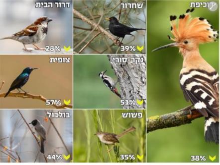 חלק מהתוצאות מוצגות בתמונות. צילומים מכתבה : https://www.ynet.co.