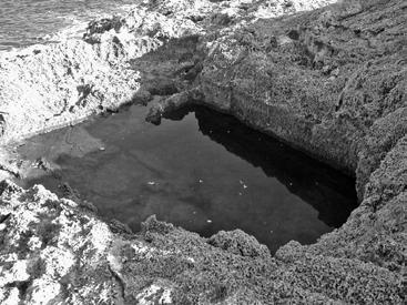 סקר ארכיאולוגי באי היונים 31 תמונה 1: חציבה בצדו הצפון-מערבי של