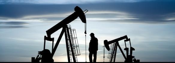 נציין, כי מיסוי רווחי הנפט עבר בשנת 2011 רפורמה משמעותית, במסגרת חקיקתו של חוק מיסוי רווחי נפט, התשע"א- 2011 ותיקונן של תקנות מס הכנסה בעניין ניכויים מהכנסת בעלי זכויות נפט.