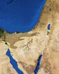 חולות מישור החוף חולות סהרה חולות מישור החוף של ישראל מהווים גבול צפון-מזרחי לתשתית החולית של מדבר חולות הסהרה.