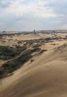 The Coastal Sand Dunes of Israel