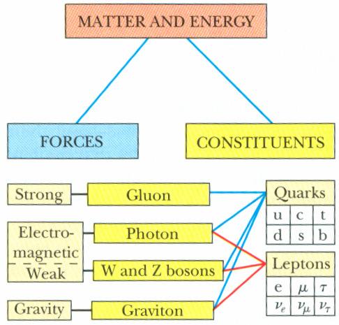 מ'' המודל הסטנדרטי היום מדענים חושבים שיש רק 3 סוגי חלקיקים אלמנטריים: לפטונים, חלקיקי שדה וקוורקים. קוורקים ולפטונים הם פרמיונים (ספין \1) וחלקיקי שדה הם בוזונים (ספין 1).