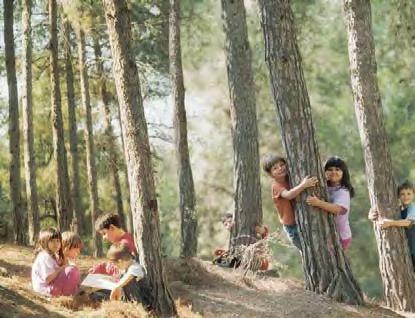 יערות ופארקים יער בן שמן היער הראשון שנטעה קרן קימת לישראל. ביער ניטעו 12,000 עצי זית בשנת 1907. היער מטופל ומתוחזק על ידי קק ל.
