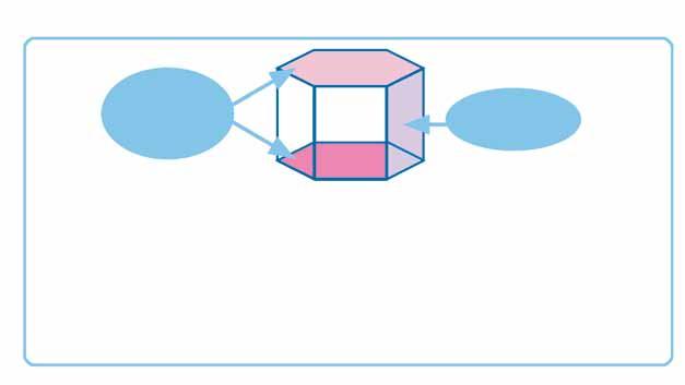 השוו את המנסרה המשולשת שבניתם )א בציור( לפירמידה משולשת )ב בציור(. במה הן דומות ובמה הן שונות? א. ב. פאות המעטפת הן מלבנים שני בסיסים מקבילים וחופפים גופים 97 למנסרה יש שני בסיסים שהם מצולעים.