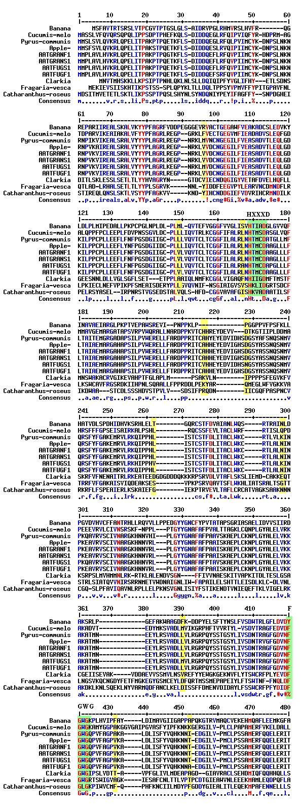 4.4 שונות ברצף חומצות האמינו בגנים שבודדו בהשוואה לAAT פעילים מאורגניזמים שונים. השוואת רצף ח.