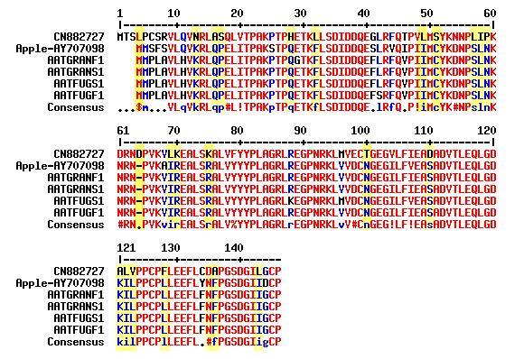 CN882727 בבדיקת רצף חומצות האמינו של a.no CN578896 EST נמצא כי שתיים עשרה חומצות האמינו החסרות הן:,glycine,arginine שתי ח.
