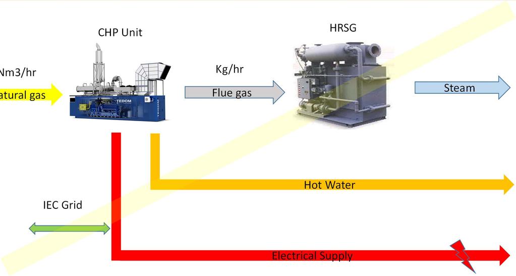 gas engine + HRSG CHP Unit HRSG Nm3/hr Natural gas Kg/hr