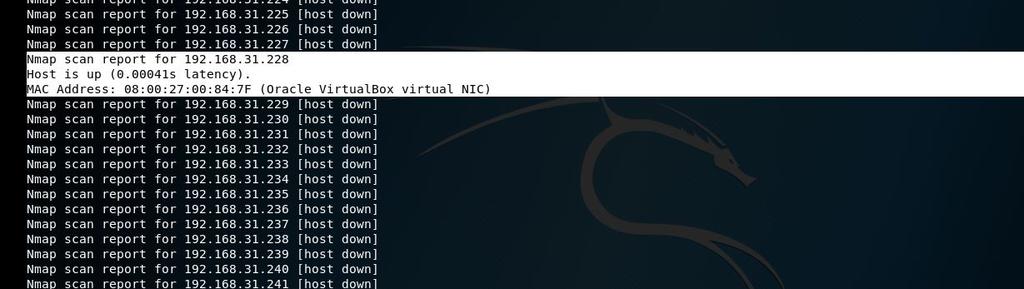 כעת נפתח Terminal נוסף ובו נקליד systemctl start postgresql זאת על מנת להפעיל את מצב ה Database ב Metasploit כעת נפעיל אותו msfdb init וכעת על