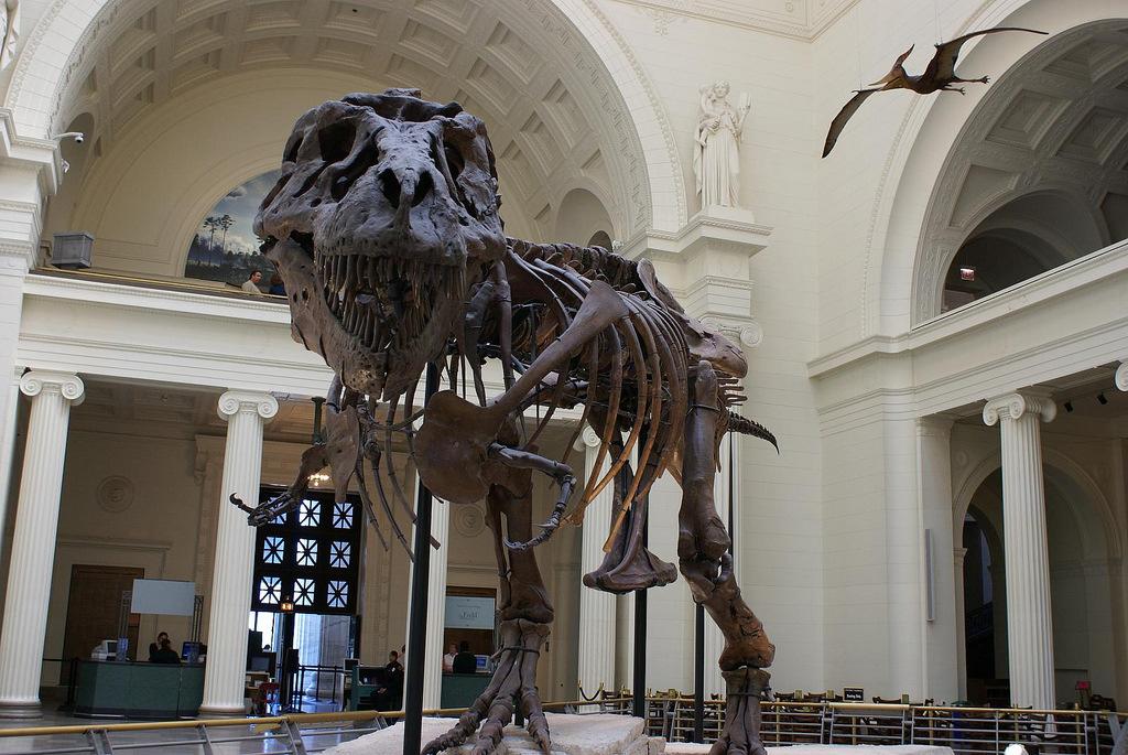 Field Museum of Natural History,