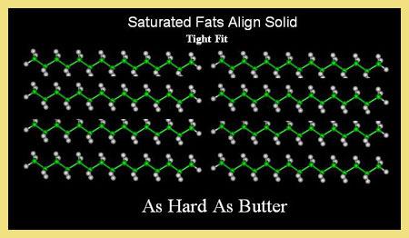 6 שומןרווי Saturated Fat שומן שבו כל הפחמנים הנם רווים, כלומר אין בו קשרים כפולים.