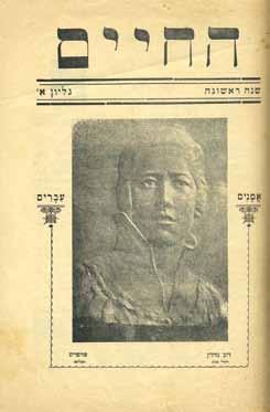 בפתח הספר כותבת שפירא: "ספרותנו חסרה את השתתפותה של החצי השני מהאנושית: זו של המין החלש. בהכנסי עתה אל חוג זר תקותי היותר עזה היא שתעוררנה רבות מבנות מיני ללכת בעקבותי.