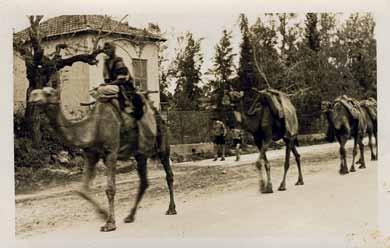 47 47. Beilinson Hospital Photo-Album, 1938-1939 Ninety seven b/w photos, the medical team of Beilinson hospital, the building and its surroundings. Eretz Israel, 1938-39.