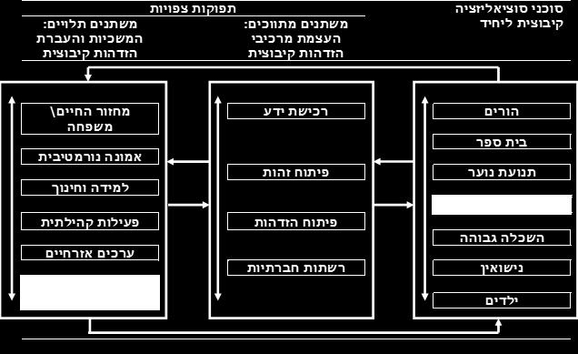כפי שצוין, זיקה חיובית, ערבות הדדית וסולידריות עם מדינת הליבה, מלבד הפן החינוכי המחזק שלה, מהווה גם את אחד היעדים האפשריים של תהליך חיזוק ההזדהות היהודית בכללותה.