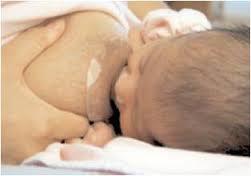 Use of Nipple Shields During the Transition to Feeding at Breast for Premature Infants Mean milk transfer was significantly greater for feedings with the nipple shield (18.4 ml vs. 3.