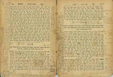 לפנינו טופס המחבר עם הגהות והוספות רבות, ארוכות ומלאות תוכן. כפי הנראה מכמה מן התיקונים, התכוון המחבר להוציא את הספר בשנית במהדורה מורחבת.