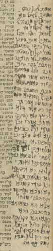 261. שלשה ספרים עם הגהותיו של הגאון-הירושלמי רבי אברהם אהרן פראג שולחן ערוך אבן העזר, וינה, תקס ט 1809. שולחן ערוך יורה דעה, [וינה, תקנ ט?]. תלמוד ירושלמי, וינה תקפ א 1821.