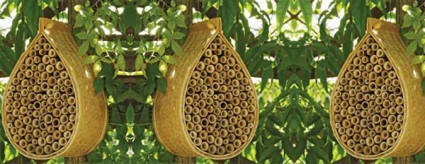 חשיבות הדבורים הדבורים אחראיות ל- 40% מההאבקה בעולם. הערך הכלכלי בחקלאות העולמית מוערך ב 167 מיליארד דולר בשנה אותה האבקה היא הבסיס לכל שרשרת המזון העולמית בטבע ובחקלאות. פחות דבורים שווה פחות האבקה.