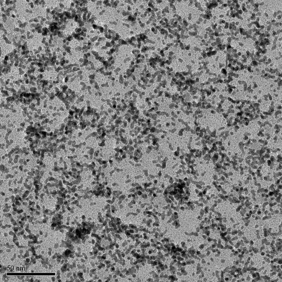 TEM images of stabilized Pd nanoparticles, ~ 4 nm General procedure for olefin hydrogenation with Leu-PEI31 (example): In a pressure tube olefin (25 L) was dissolved in Leu-PEI31 (2 ml of stock