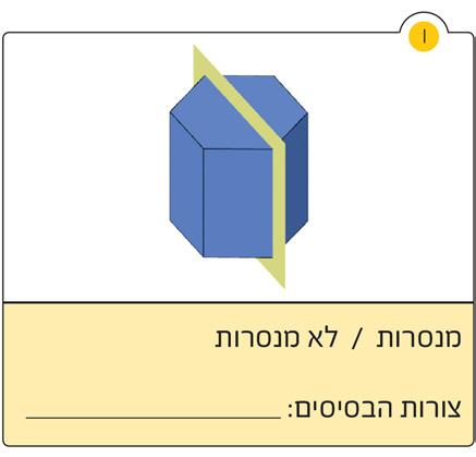 אך כאשר היא בדקה כל גוף בפני עצמו, היא זיהתה שלכל גוף ישנם שני בסיסים חופפים בלי שום קשר למקום החיתוך של בסיס המנסרה הנתונה.