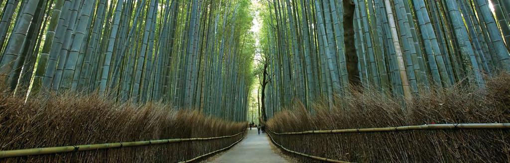 ק י וט ו 京都 יער הבמבוק בארשיאמה קיוטו היא עיר בעלת שתי פנים: בתור עיר הבירה הקיסרית לשעבר החשובה ביותר של יפן, יש בה אלגנטיות קלאסית ונצחית.