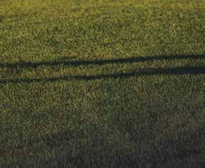 Championship, defeating him by 4 strokes.