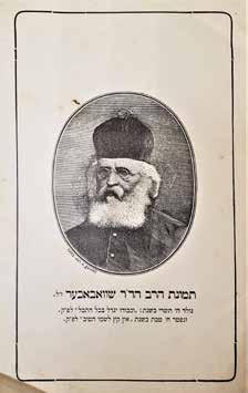 168. פני אריה - דיוקן שמעון אריה שוובכר ומושג ציור אריה. פני איש וחיי מתולדות אלקי החוקר בעמו.