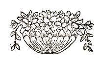 Prayers for Rosh Chodesh, Shlosha Regalim, including the Passover Haggadah, Selichot and