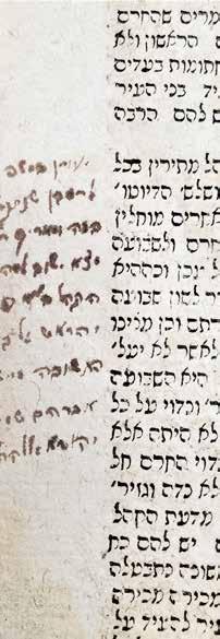נולד בעיירה רעזעווא, מקום רבנותו של אביו. אכן היו עוד מגאוני הונגריה המפורסמים, שנקראו בשם אנשיל, והתגוררו בעיירה זו. וצריך עוד מחקר. באחד מדפי הספר מופיעה הגהה למדנית, המסתיימת במילים:.