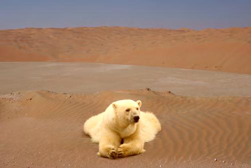 4: Seamlessly cloning a polar bear onto