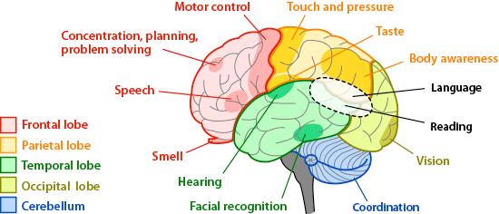 Dementia Dementia with Parkinsonian symptoms Parkinson s Disease A disabling motor impairment disorder