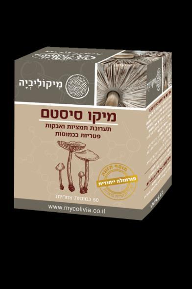 דמנציה ואלצהיימר בשלבים הראשונים: היריסיום גולד