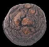 CHOCOLATE COOKIES 5100157