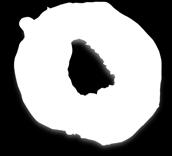 5100141 חישוקי פיצה PIZZA RING
